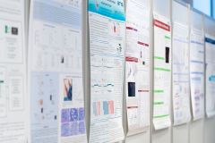 2026-1-16kongreselektroporacije-4